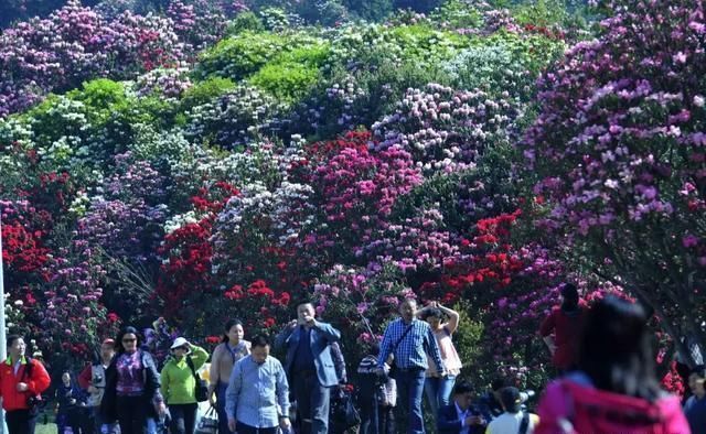 春天最美的十二个地方，你最想去哪个？