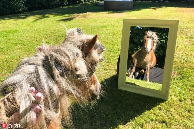 英国有个马儿SPA馆 坐享泡泡浴还能躺着敷面膜