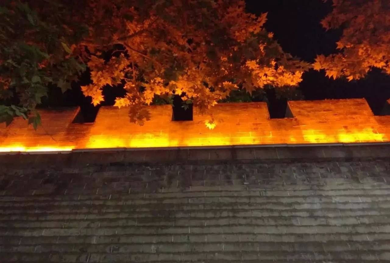 父亲节一一致自己