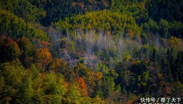 安徽旅游:大山深处一抹红,马丁公路、马鬃岭秋色美翻了