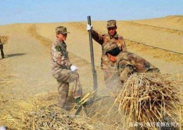 我国再现超级工程，30万亩沙漠变绿洲，印度“还不是多亏我们”