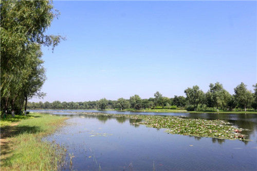  [河湖长制工作]西安经开区加强疫情防控期间的水环境治理