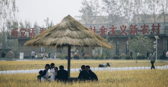  收益：农村“撤村合镇”后，农民能得到啥好处，农民要清楚