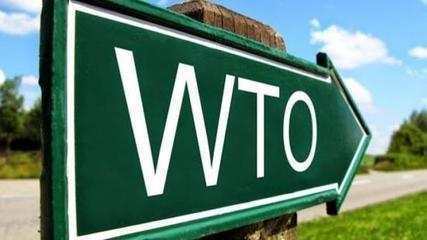 美国要退出WTO? 特朗普: 没有的事, 希望得到