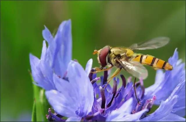 【摄影专区】单反参数设置小技巧，超级好用！