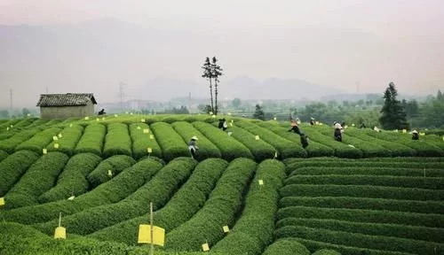 它被《国家地理杂志》评为最后的江南秘境,抽空一定要来这里看看