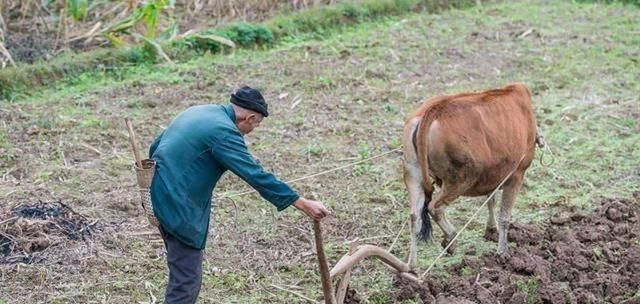  「买房子」十年前，农民赚钱就回村子建房子，现在在城里买房子，农村会消失吗？