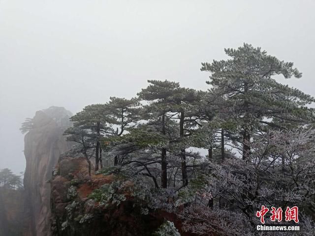 五百里黄山迎大面积雾凇景观 宛如琉璃世界