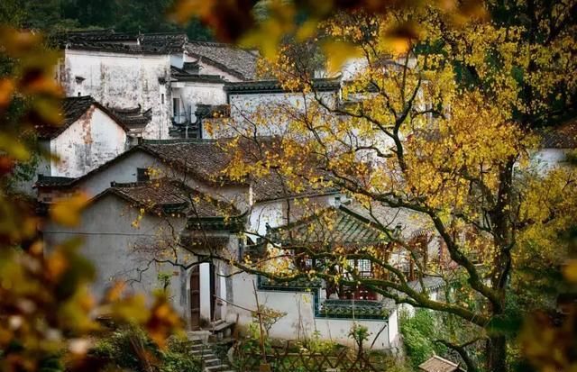 江南最美的10个秋色