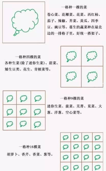  『蔬菜种植』养花种树，也栽菜！