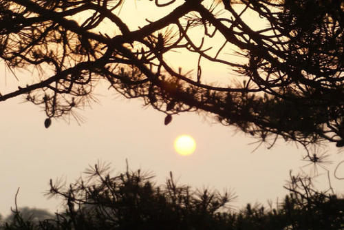 中国名望最大的一座山，年接待中外游客三百多万，城市都和它同名