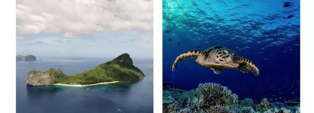 上海出发、无需中转，客运航班能直飞这么多国外目的地！