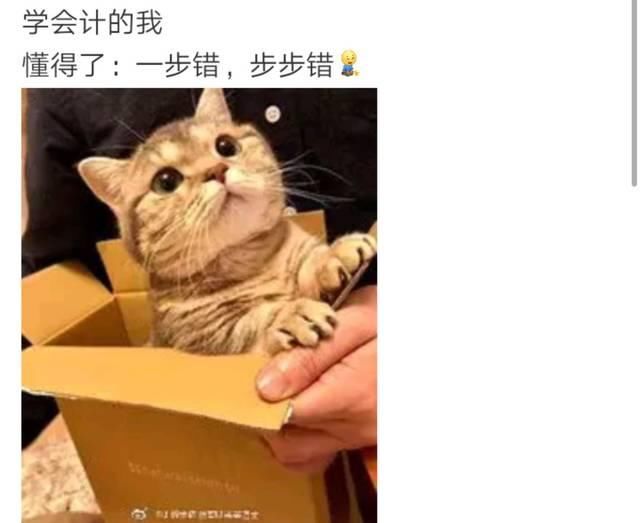  误解：你与你的技术专业是如何“纠缠不清”的？！