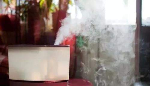  「开花旺盛」花色特鲜艳的鸡冠花，几个品种养一起就能变小花坛