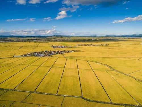  「相关」国家最新政策！户口本上有这4个字速看，这些惠农政策与