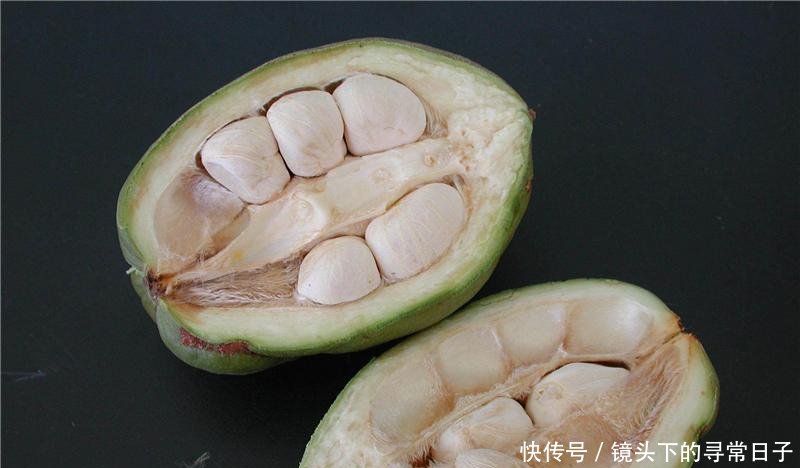  「有人」原产美洲，引入我国成“发财树”，有人大量种植，种子一斤2百元