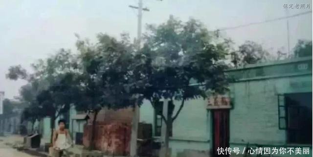 五金@保定高阳老照片五金公司，汽车站，北环路，老十字街，国营染厂