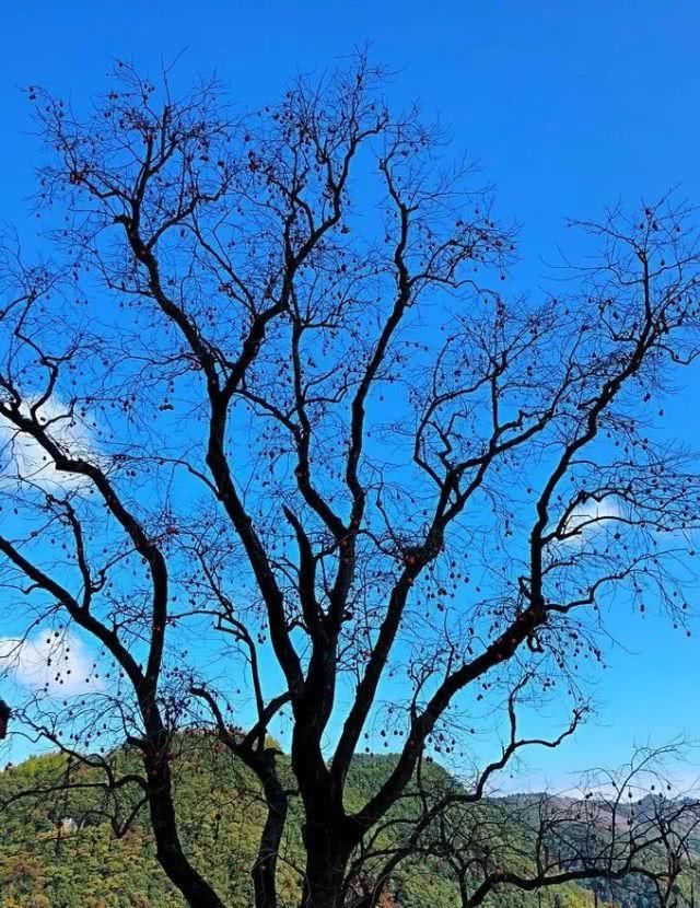浙江不只有江南烟雨,这10个地方藏着浙江的绝美秋景