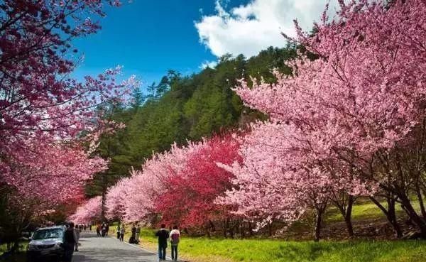 早春三月草长莺飞 旅行地排行榜，这些地方你去过几个？