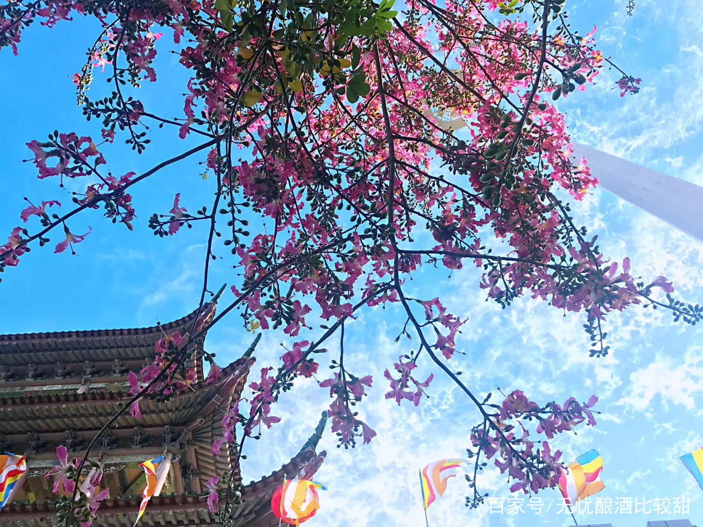 走进一座山，不小心发现山中藏着这样一座神仙寺庙!