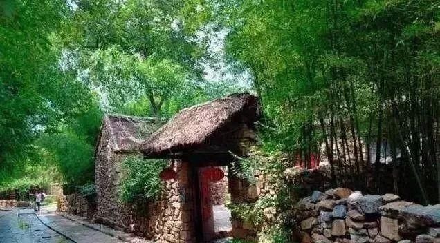 又一农业项目热得发烫，国家重点支持，专家:乡村振兴的新模式