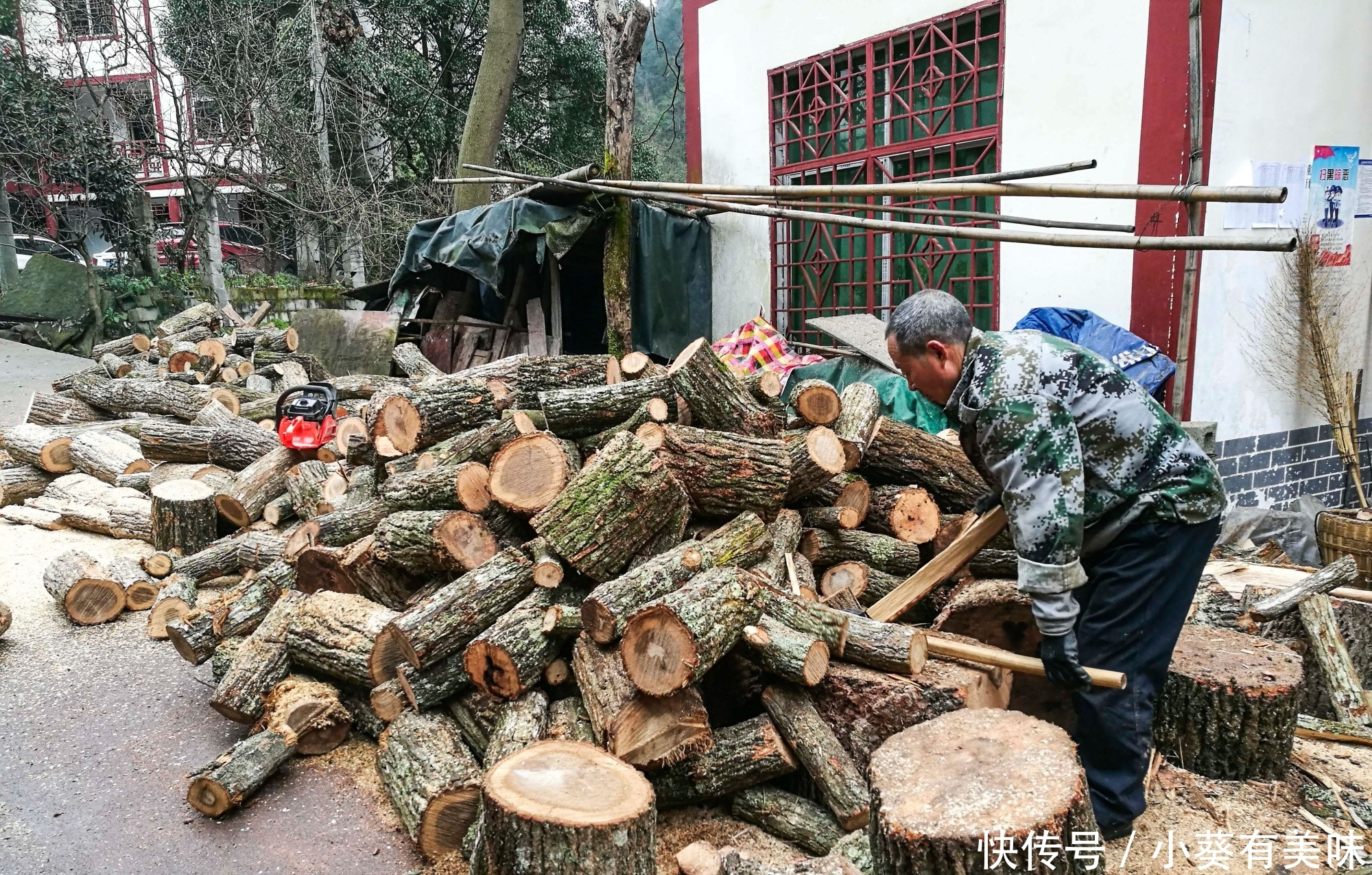  [每家]青杠树当柴火，每吨400元，农家乐老板争相购买，每家都有