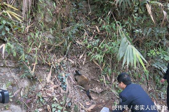 曾因病害无人敢吃，6年前被大量养殖，如今很稀罕，一斤130元