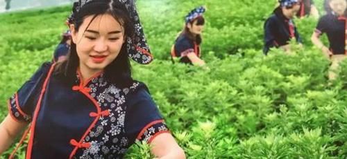  #村民#在农村，种植艾草能赚大钱，这是真的吗？