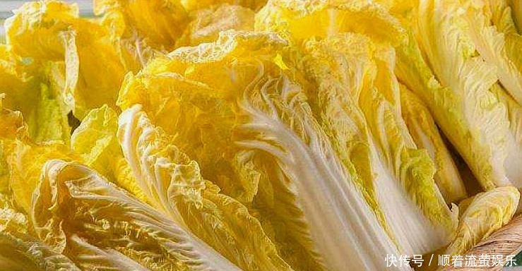  [收益]农村一种菜逐渐替代了大白菜，现在种植一斤5元，每亩收益