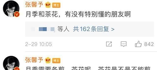 【何捷】张馨予不做饭改种花了, 老公何捷帮不上忙, 只好线上求助网友