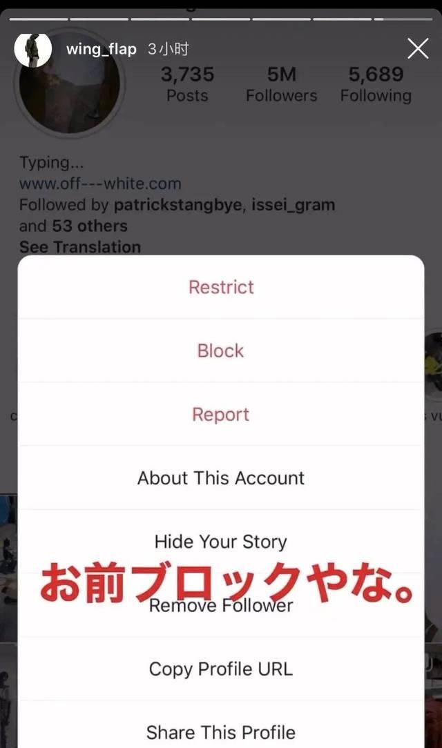  玩家■纯路人，山系品牌这波我觉得可