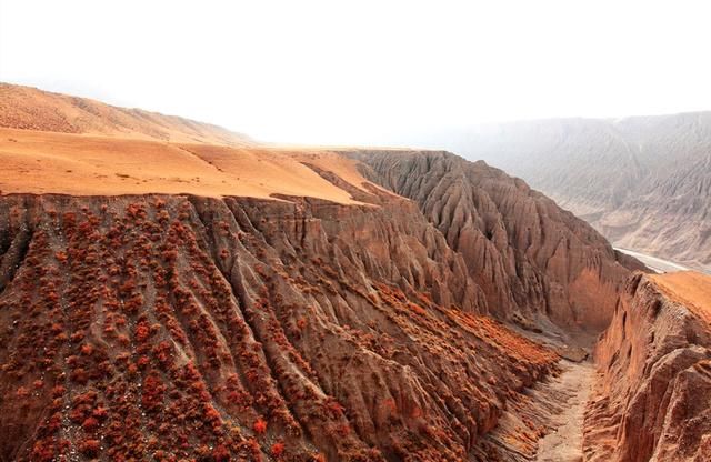 国内这几大峡谷奇景，一个比一个险峻壮丽，你最喜欢哪一个呢？