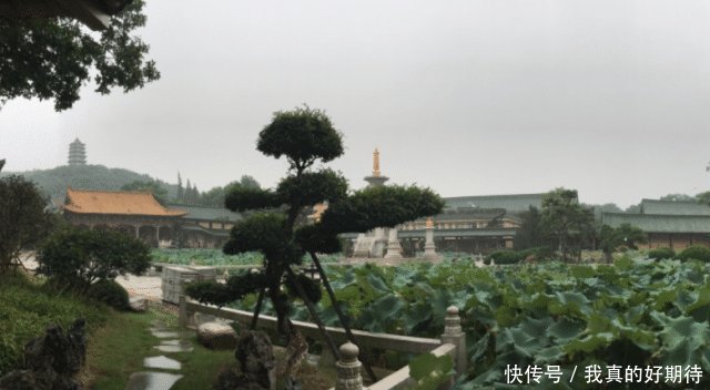 国内最守规矩的寺庙,游客进门全程免费,可两种人却不能入内