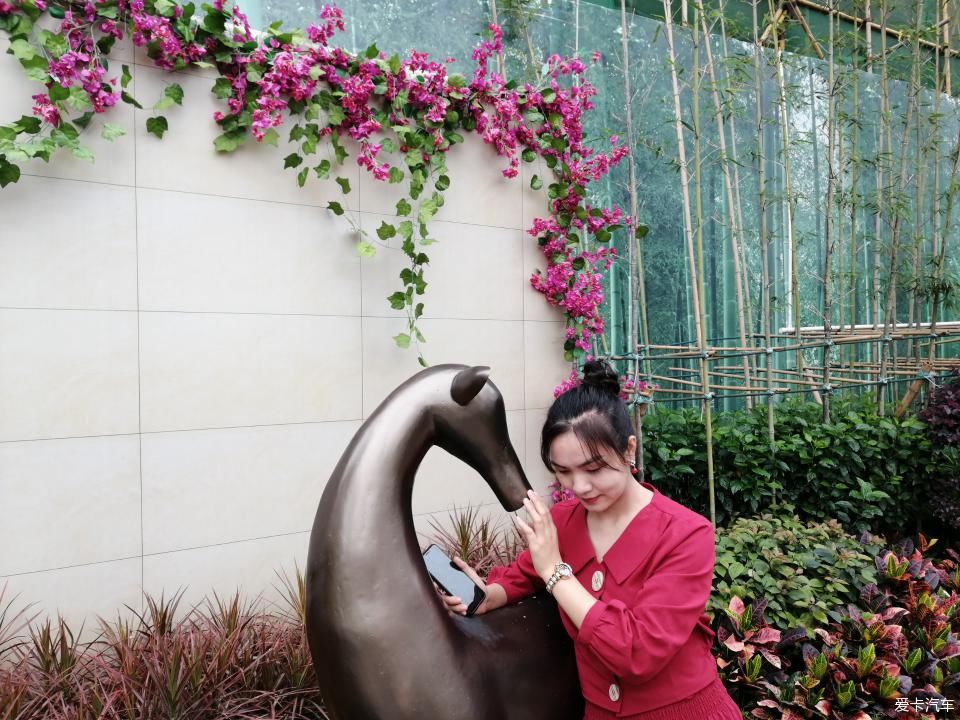 特别:十里春风,打卡滨江公园