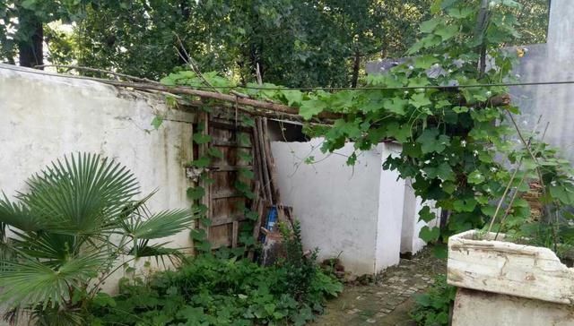  「我家」休假回农村来了，晒晒我家的农村小院，还是农村好！