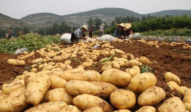 在农村,“打工难”还没走远,现在又出现这三个烦恼,农民很无奈！