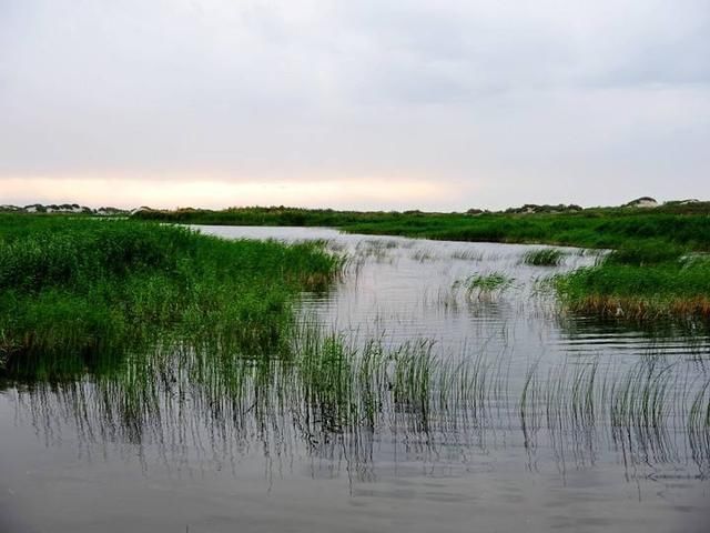  #生态#价值1万亿的咸水湖，却是中国西部沙尘暴源头之一，生态问