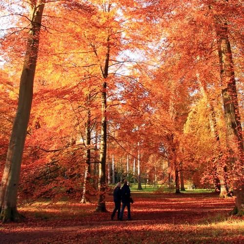 欧洲的秋天，真的不是童话！