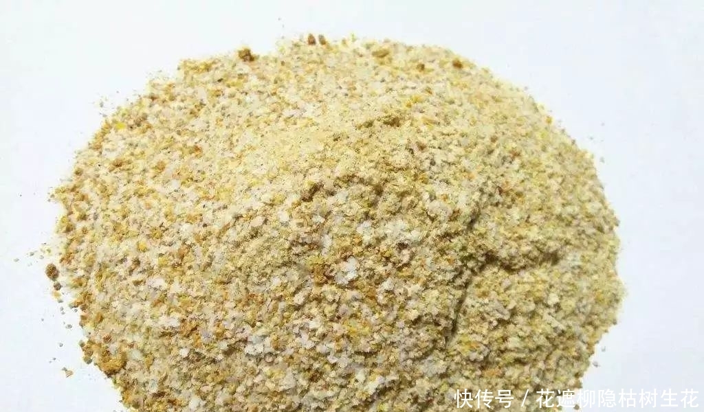  进食：春季鲤鱼不要盲目钓，注意这几点，收获绝对不会差