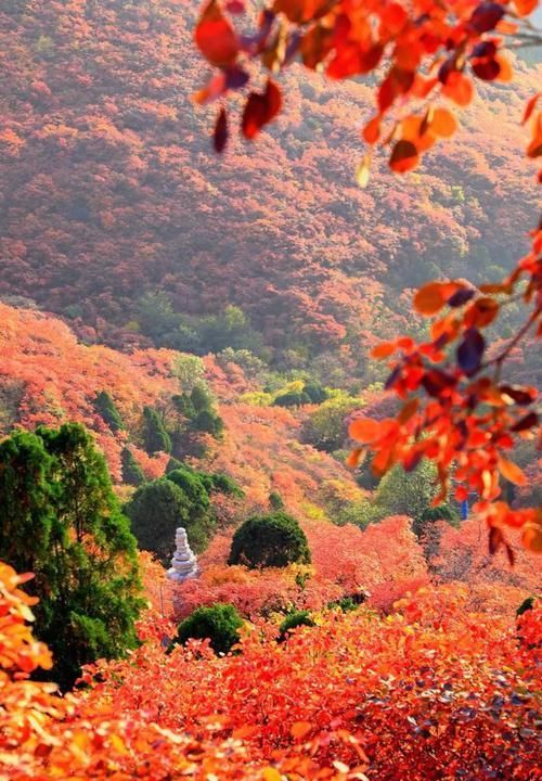 这个秋天，就想和你一起去石门坊赏红叶