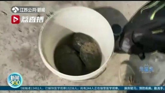  #钓点#钓者扎堆、粗暴垂钓！南京燕子矶成“网红”钓点