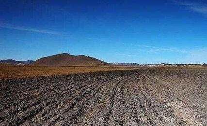  [情况]农村土地管理迎来新变化，2种情况要遭殃，轻则收费，重则