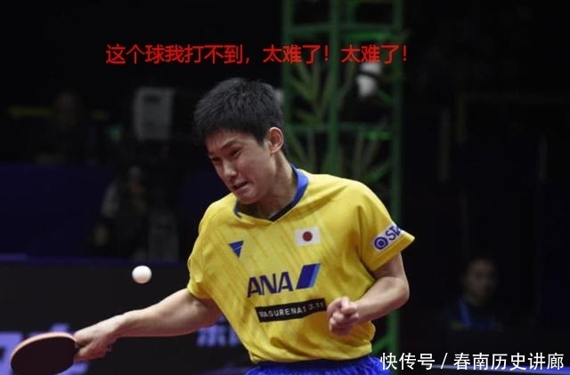 樊振东冠军奖金