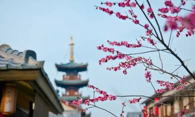 美过婺源！国内最适合全家游自驾赏花地，不收门票，美的鲜为人知