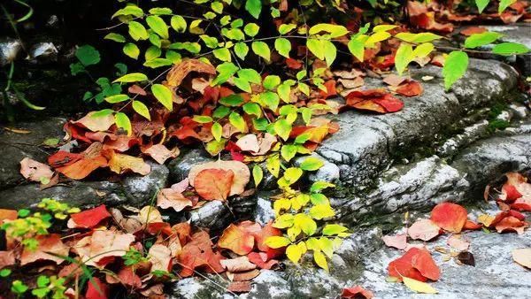 秋日里，山西20处绝美赏秋胜地美的像仙境