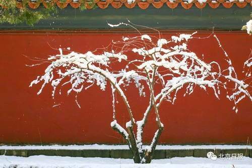 大年初三北京要下雪？这些赏雪好去处先收藏