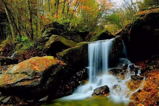 赏红叶的季节到了，南充周边除了光雾山这里的也很美