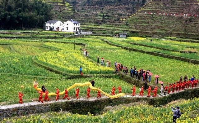 今明两年内完成县域、村域乡村振兴战略规划