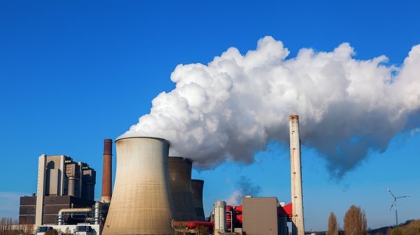  「解决」中国在发电站放了几千只羊，一个世界性的难题，却被羊