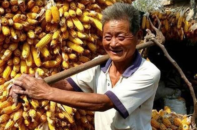 继攀比风之后，农村又兴起这3种“怪风气”，老农直摇头，咋回事